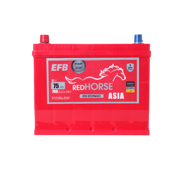 Red Horse, Asia EFB Line 6-CT-75(1)